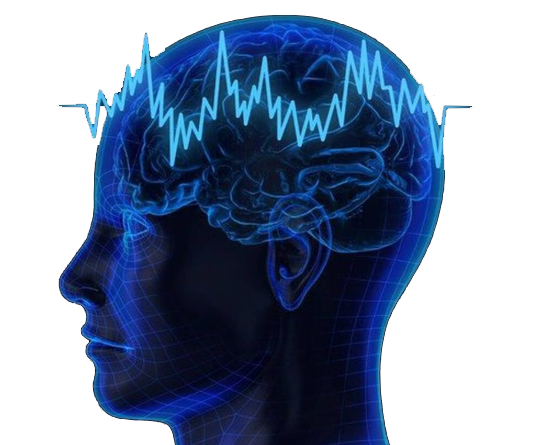 Brain icon